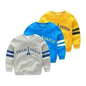 Picture for category Boys SweatShirt