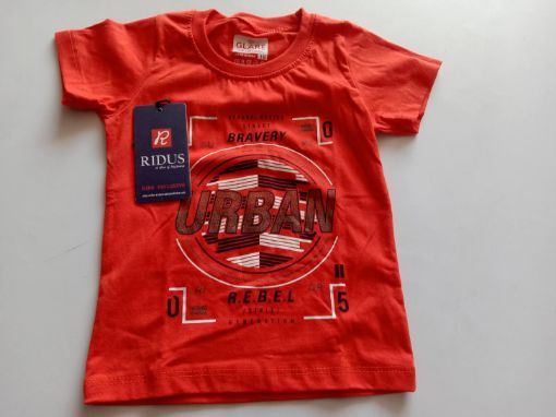 Picture of MDL00507 :: Size:18-24 Months :: Boys T-Shirts