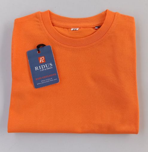 Picture of MDL03185 :: Size:8-9 Years :: Boys T-Shirts